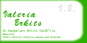 valeria brkits business card